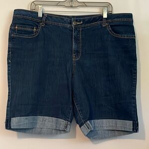 Faded Glory Denim Shorts, 18
